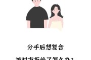 女友提出分手怎么挽回？教你实用的方法（从沟通到行动，8个步骤助你成功挽回女友）