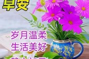 甜甜的早安语短句，唤醒你的温柔（在每个清晨送你幸福的甜蜜语句）