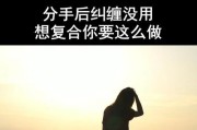 失去女友后，如何挽回她的心？（掌握正确的方法，让你重获爱情）