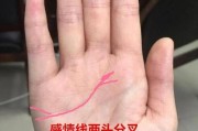 揭开感情线分叉的神秘面纱（深度探究感情线分叉的意义和影响）