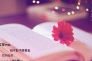 探究婚姻感情破裂的原因和应对方法（探究婚姻感情破裂的原因和应对方法）