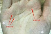 感情线分叉的含义和解读（探究掌心上的分叉，揭示内心的变化）