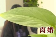 选择前夫还是现男友？（一个心中的抉择，如何做出正确的选择）