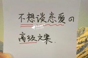 成熟恋爱（从创造良好关系开始，不断提高自我素质，以成熟态度面对爱情）