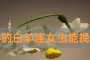 白羊座说离婚还能挽回吗？（从星座角度看夫妻关系的危机与转机）