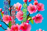 早安撩妹心语大全（让你轻松撩到心仪女孩的四字经典语句）
