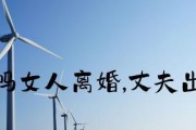 离婚后如何挽回婚姻（重拾爱情，修复关系的方法和技巧）