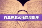 失去了摩羯女，如何重新挽回？（分手原因分析与挽回策略全解析，让你重新获得爱情）