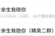 拒绝了相亲对象，如何挽回？（表白攻略大揭秘，让你尝试不后悔）