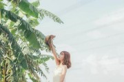 如何挽回狮子男的心？（从分手到复合的秘诀！）