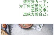 以冷爱，恋爱做自己（爱情需要真实，不需要伪装）