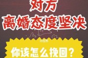 挽回爱情的有效方法（如何让爱情复苏？-挽回爱情的15种方法）