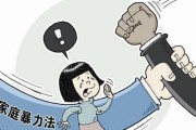 三大因素导致家庭暴力（探究引发家庭暴力的原因及预防方法）