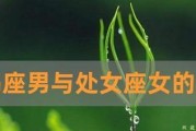当处女座面对巨蟹座女的挽留，该如何应对？（以真诚和理解化解情感危机）