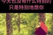 一句呆萌情话，温暖心田（15个让你心动的呆萌情话）